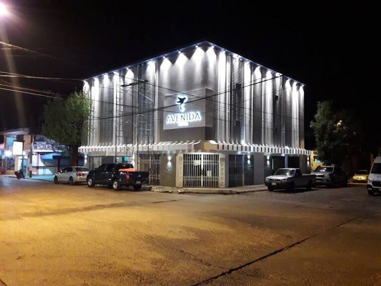 "Avenida Hotel" (exTajy)