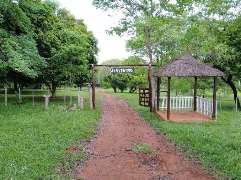 Balneario Camping Las Palmeras