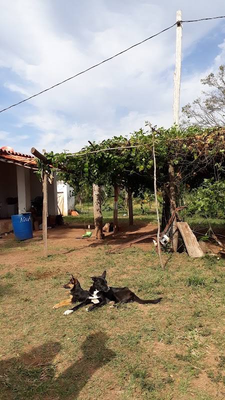 Cabaña A V