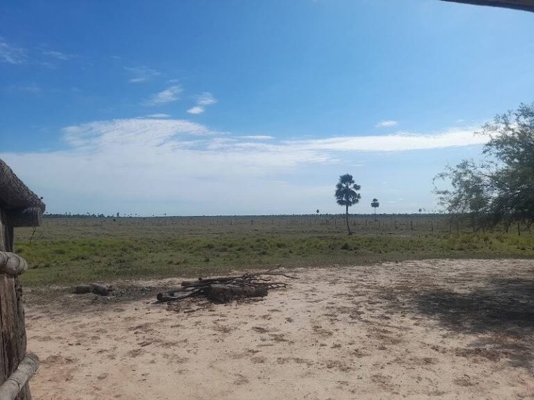 Cabaña Buena Vista
