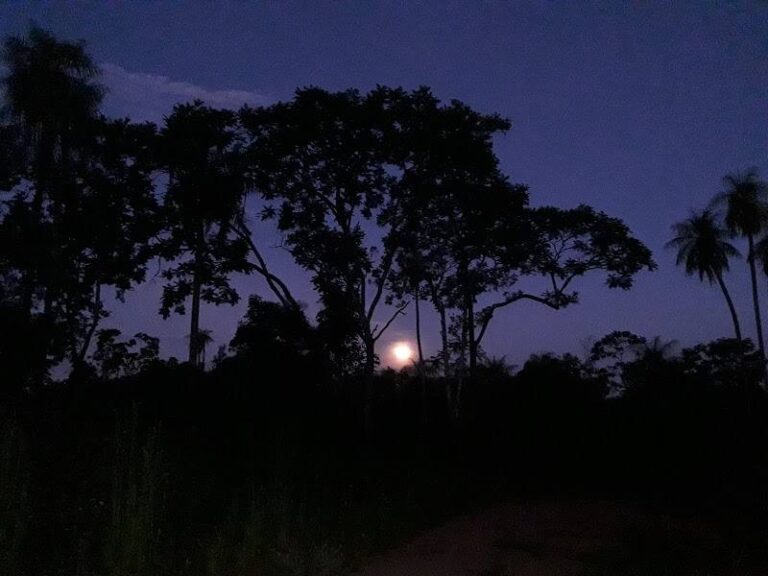 Cabaña Ka'u Renda