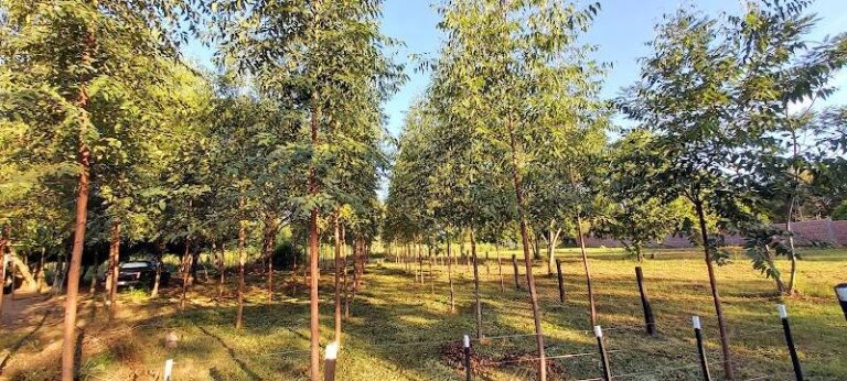 Complejo Ecológico Guajayvi Sa’yju