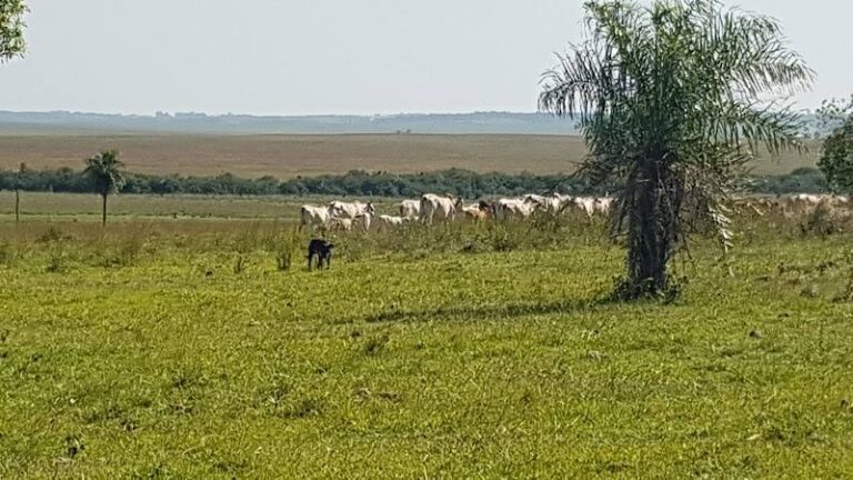 Estancia Ascurra