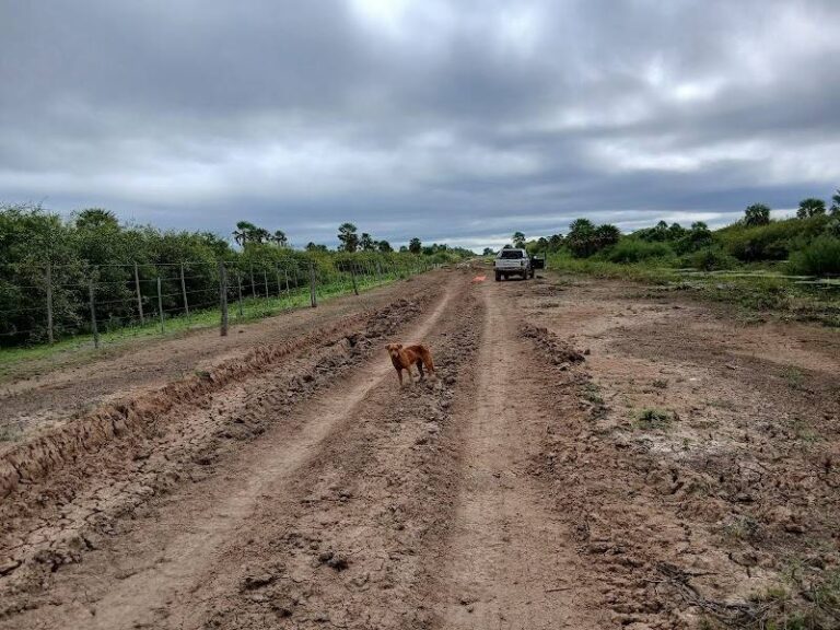 Estancia La Revancha