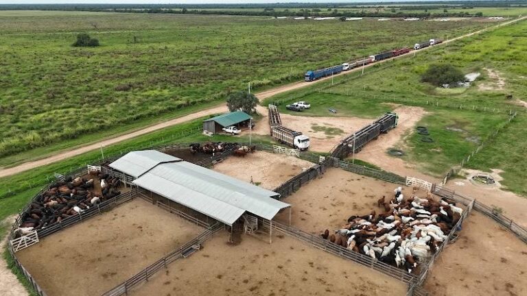 Estancia La Susana