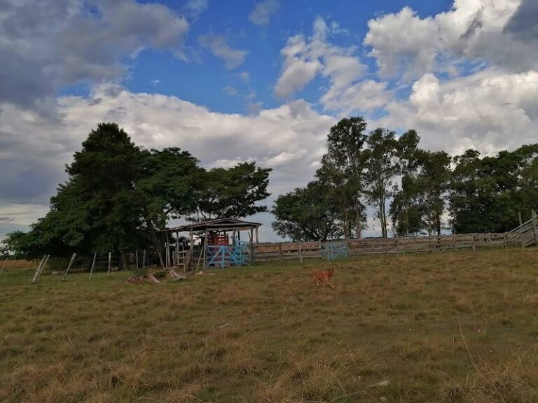 Estancia Maria Shirley, Aguaray Misiones