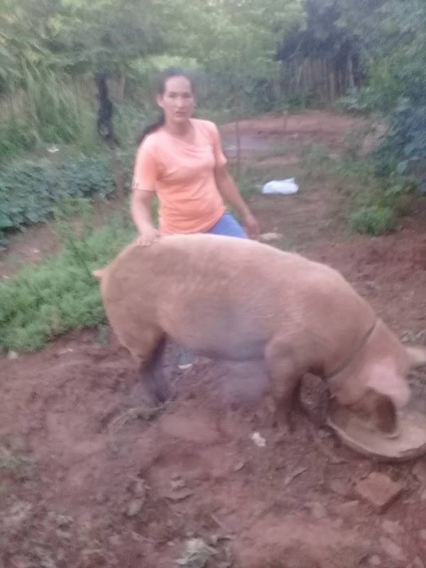 Estancia Monserrate