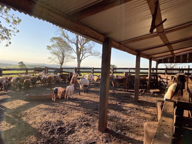 Estancia Nathalia Noemí.