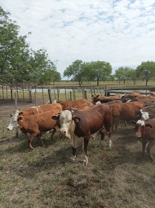 Estancia San Antonio