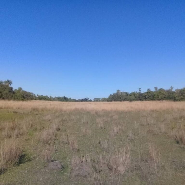 Estancia San Fernando (Ocampos Ramirez S.A)