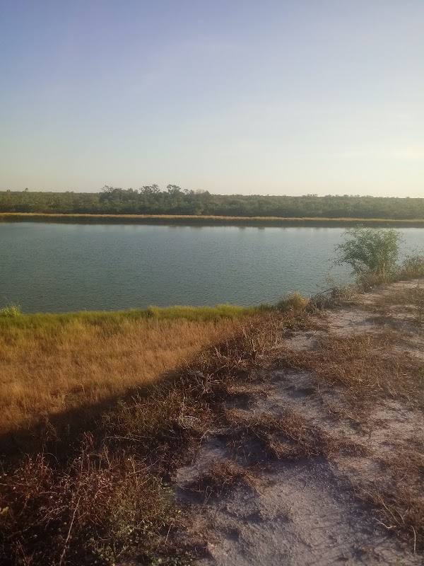 Estancia Sinuelo S.A