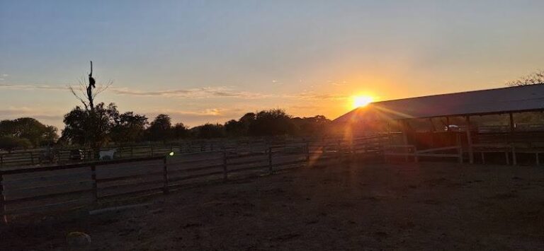 Estancia Sombrero UPSA