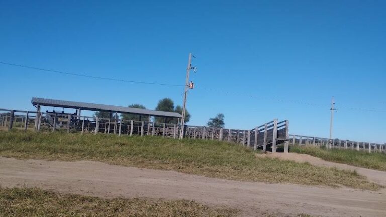 Estancia titu