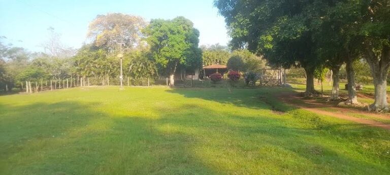 Finca Angelina