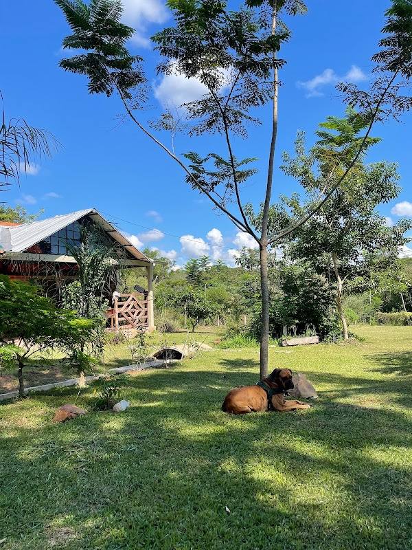 Finca La Patrona