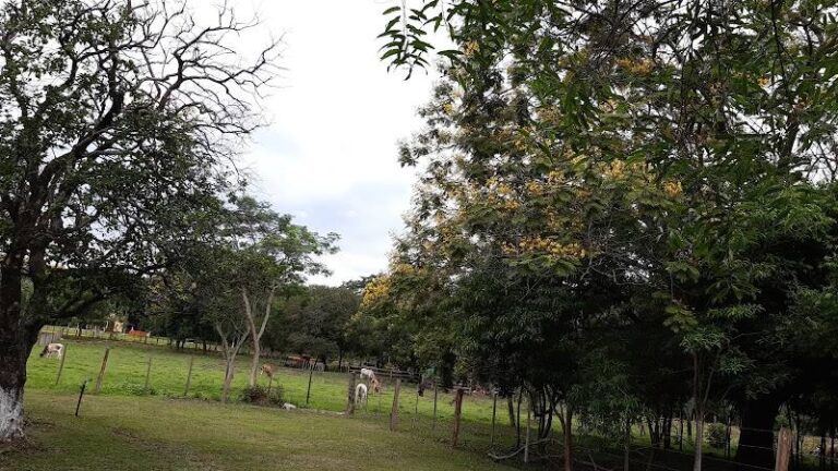 Finca La Preciosa