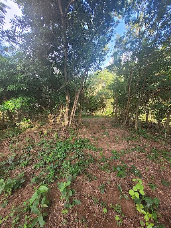 Finca Ña Ceci