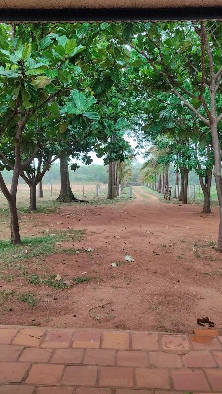 Finca Rancho Lata