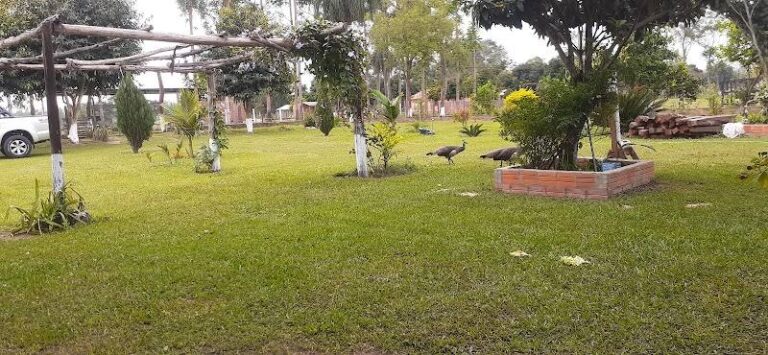 Finca Rojas piro'y