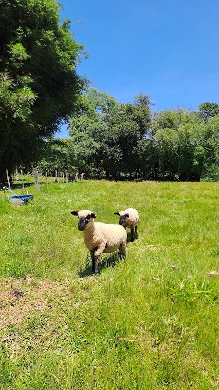 Granja Antonia Esperanza