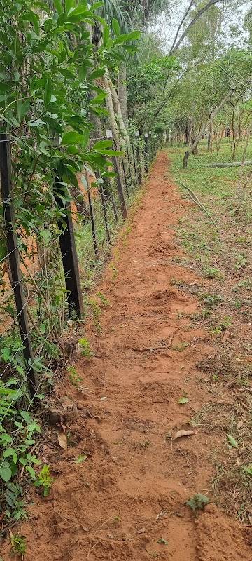 Granja Arasa