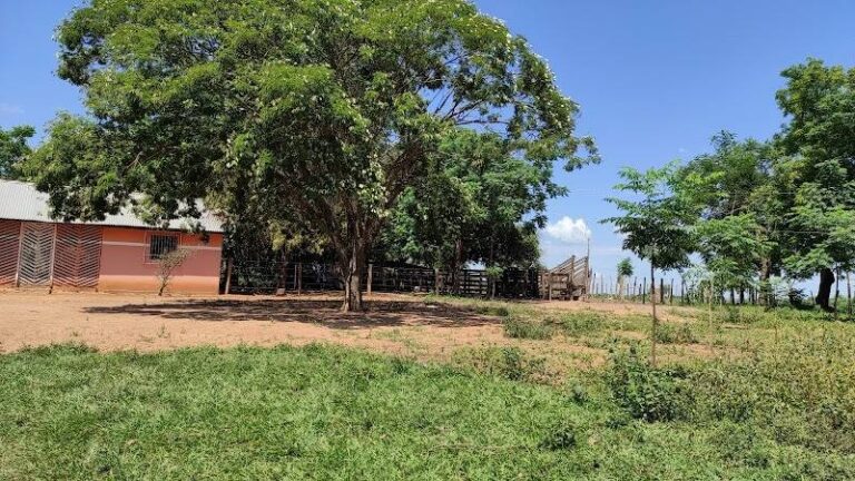 Granja CM