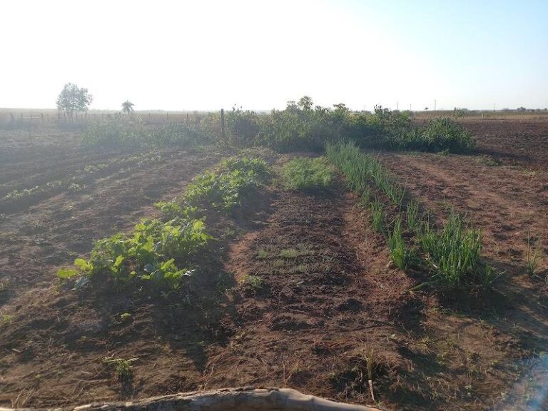 Granja Don Chi'ico