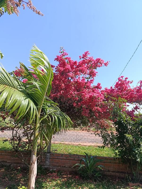 Granja Don Cleto