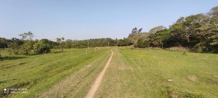 Granja Don Domingo