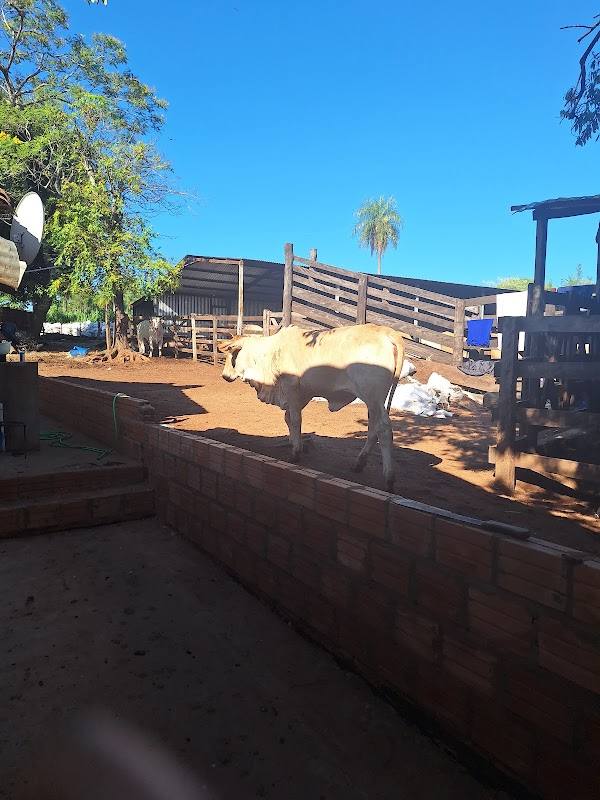 Granja Don Pedro
