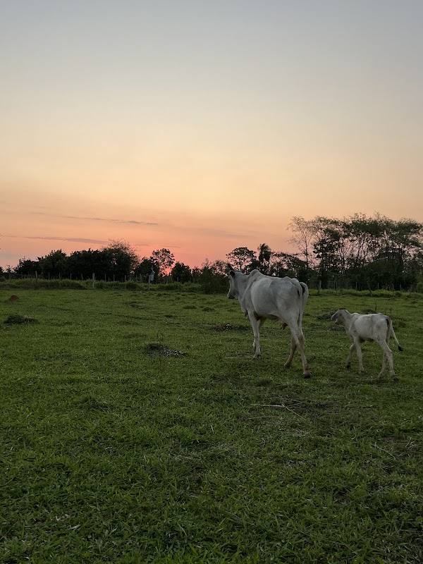 Granja Don Reinaldo