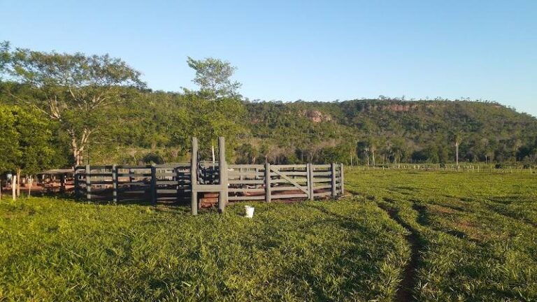 GRANJA GABRIEL