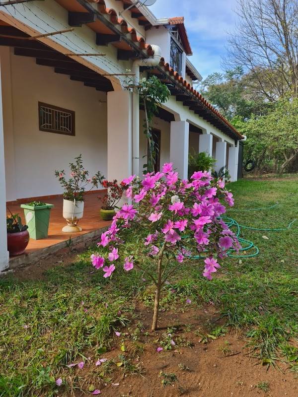 Granja Garza Blanca