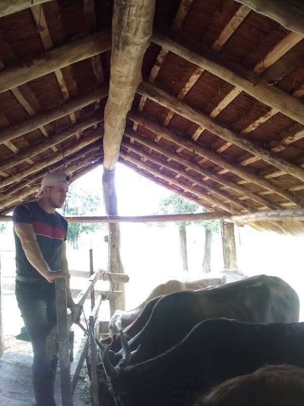 Granja isla tajy