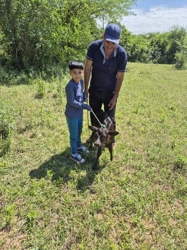 Granja Los 3 Reyes Magos