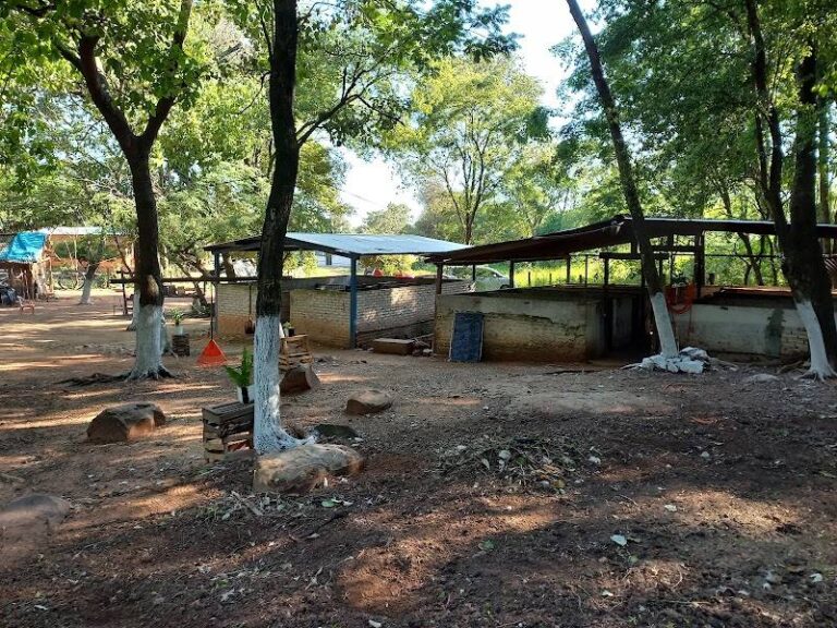 GRANJA MANA