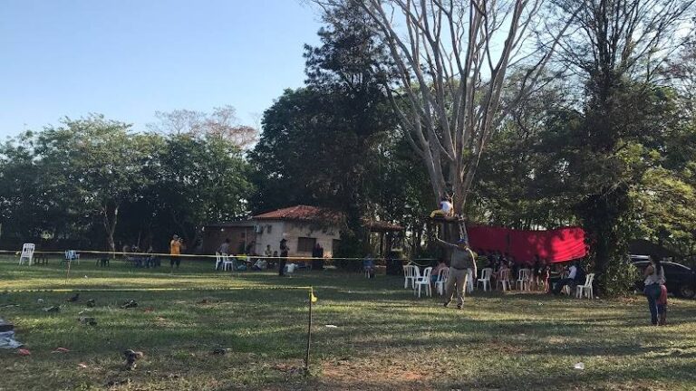 Granja Mangoré
