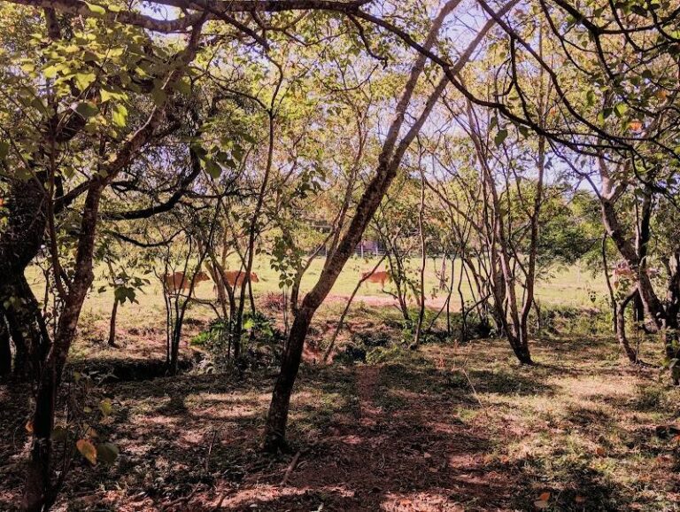 Granja ña Fide