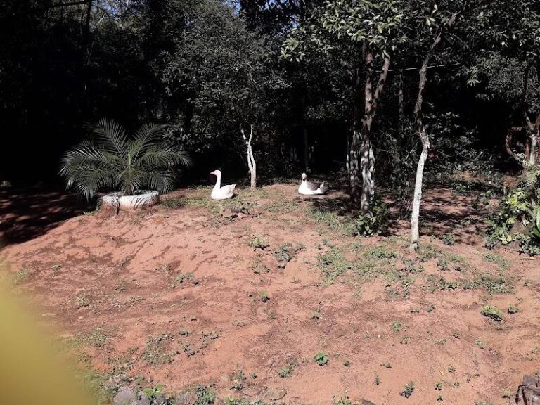 Granja Ña Kita