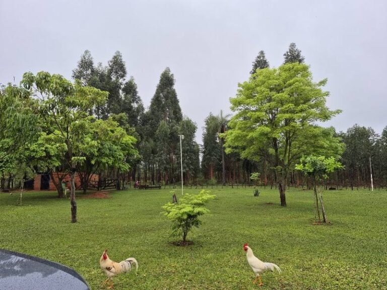Granja Pablina Juky