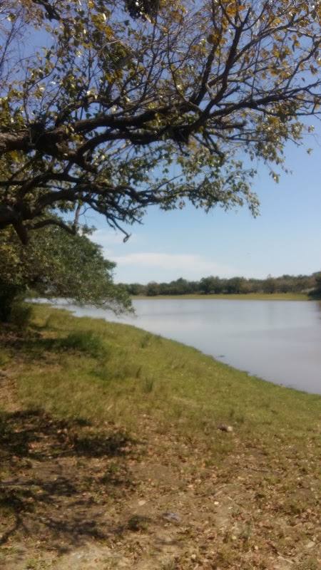 Granja Piro'y