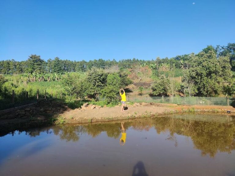 Granja VazFer