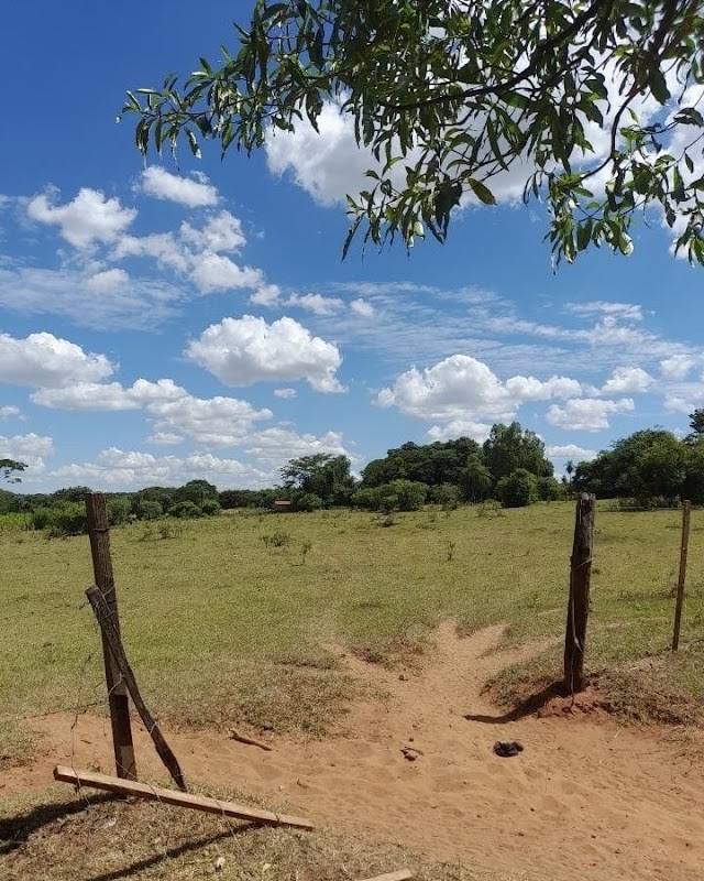 HACIENDA TAIRO