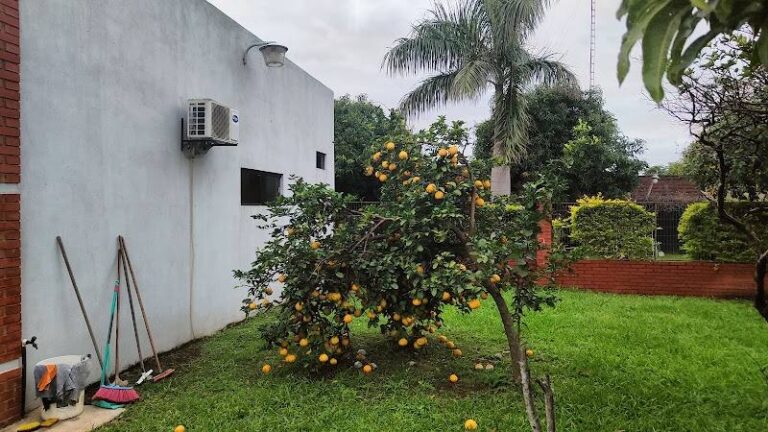 Hospedaje Santa Cecilia