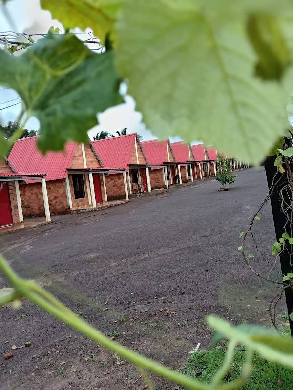 HOTEL EL VINO