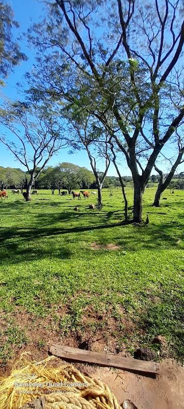 La Cabaña del Campo