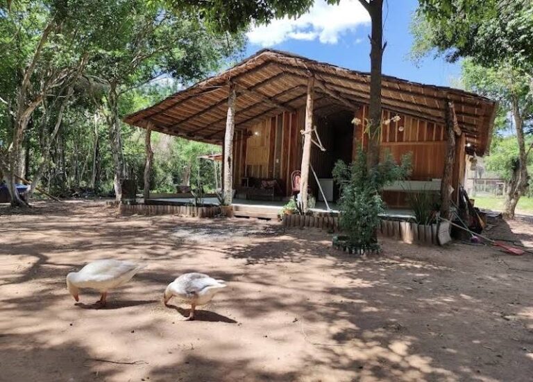 La Casita del Bosque (Granja Santa Catalina)