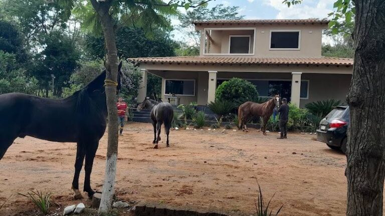 MI RANCHO "Yaguaron"