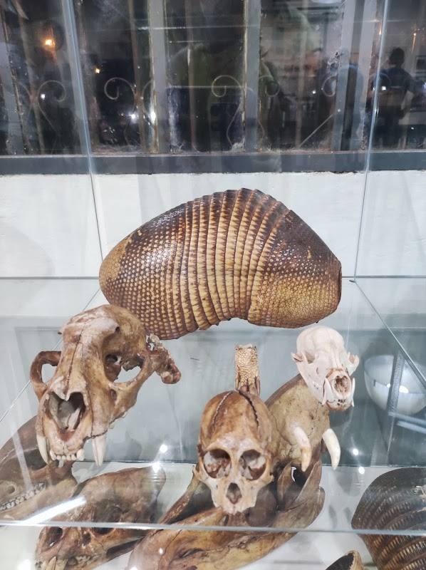 Museo Tacuru Pucu
