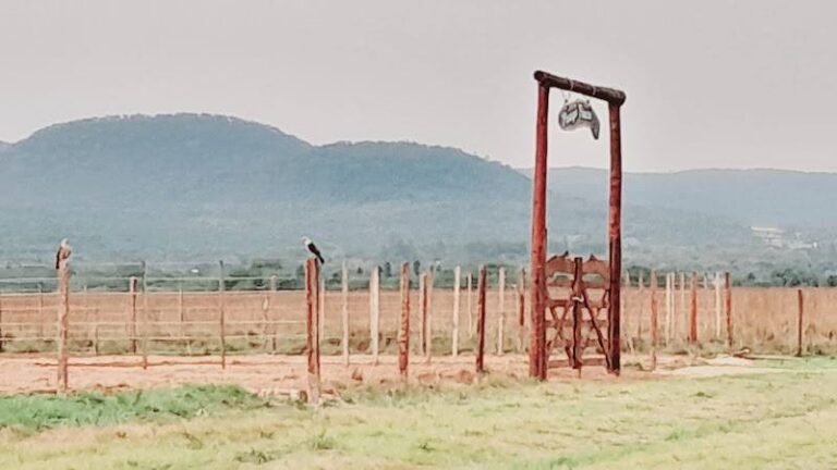 Pirayú Finca